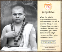 H.H. Parijnanashram Swamiji III